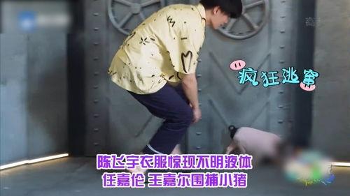 李晨爆料陈飞宇视频合集,视频合集大揭秘 第2张 李晨爆料陈飞宇视频合集,视频合集大揭秘 第2张